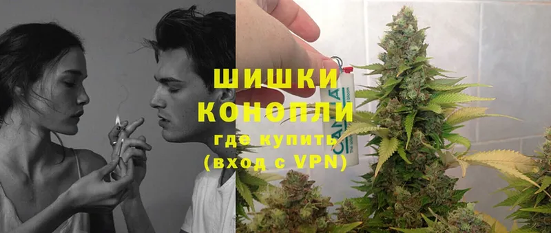 Бошки марихуана THC 21%  Талдом 